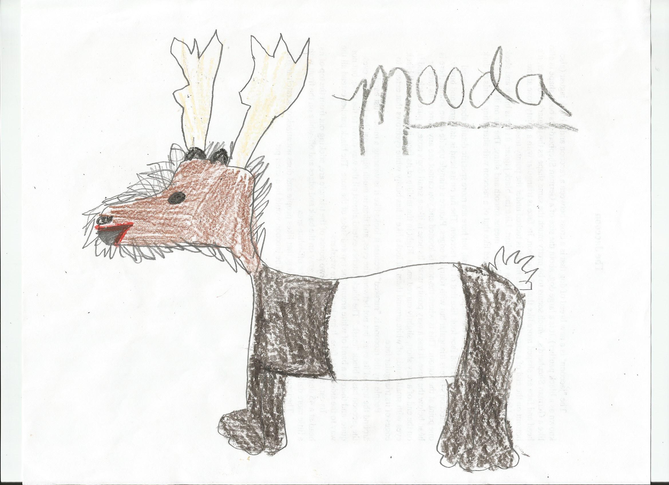 mooda from create a critter lesson