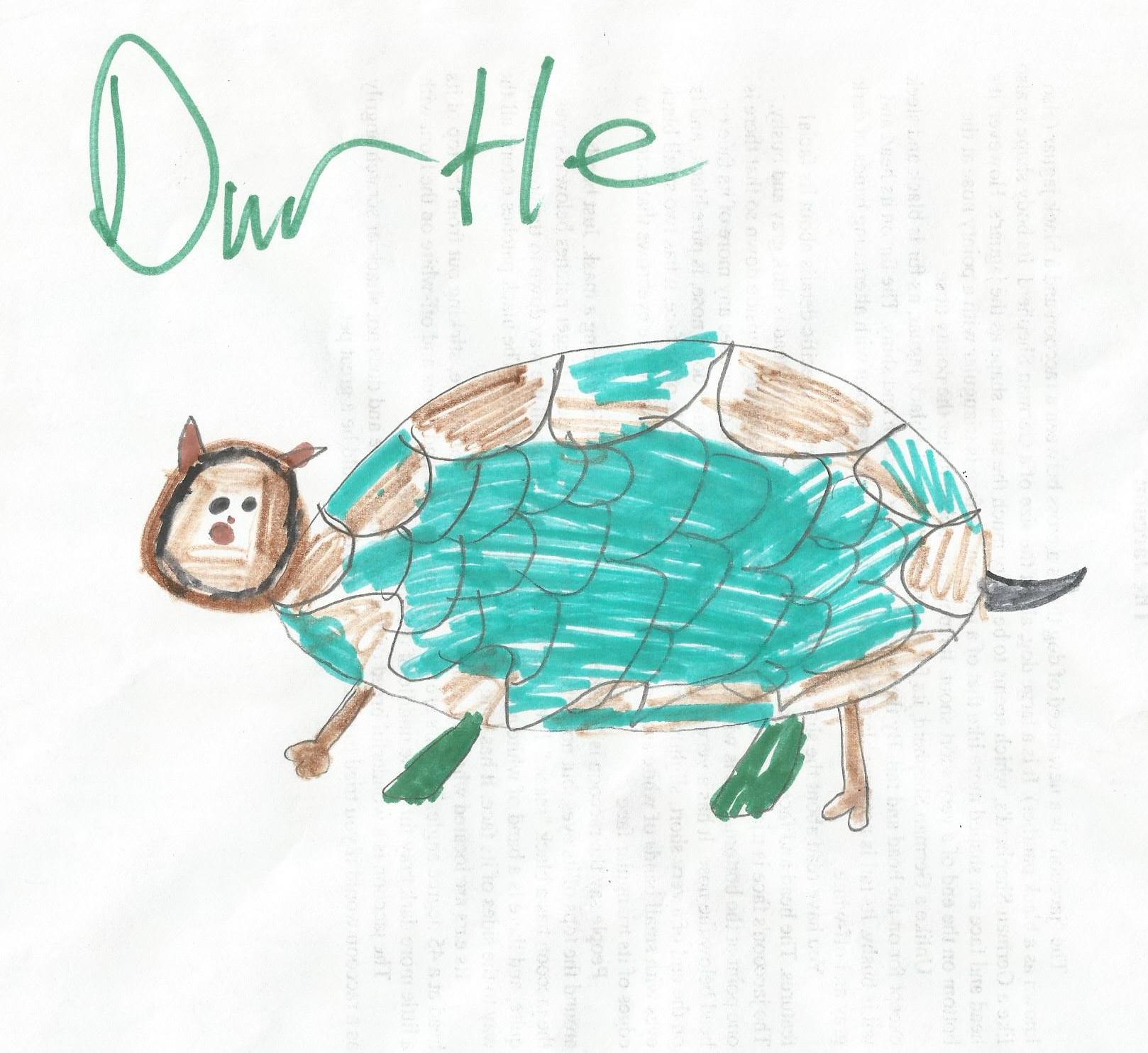 durtle create a critter example