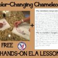 chameleon color changes science literacy lesson featured image