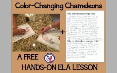 How Chameleons Change Colors: An ELA Literacy in Science Lesson