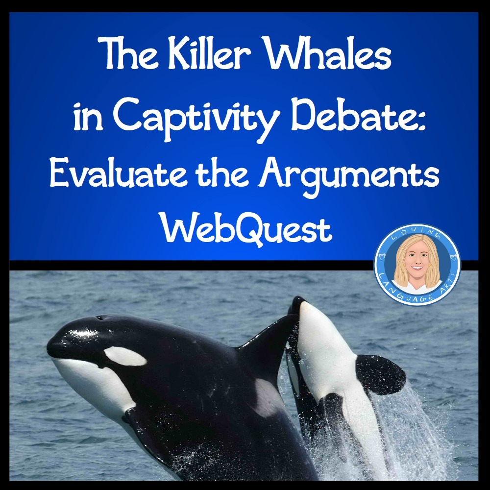 killer whales in captivity debate webquest